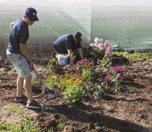 LMHS Receives Grant for Pollinator Garden